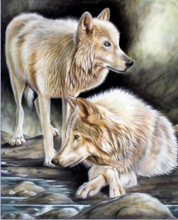 Схема вышивки крестом: «волки и пара волков» скачать бесплатно в фото